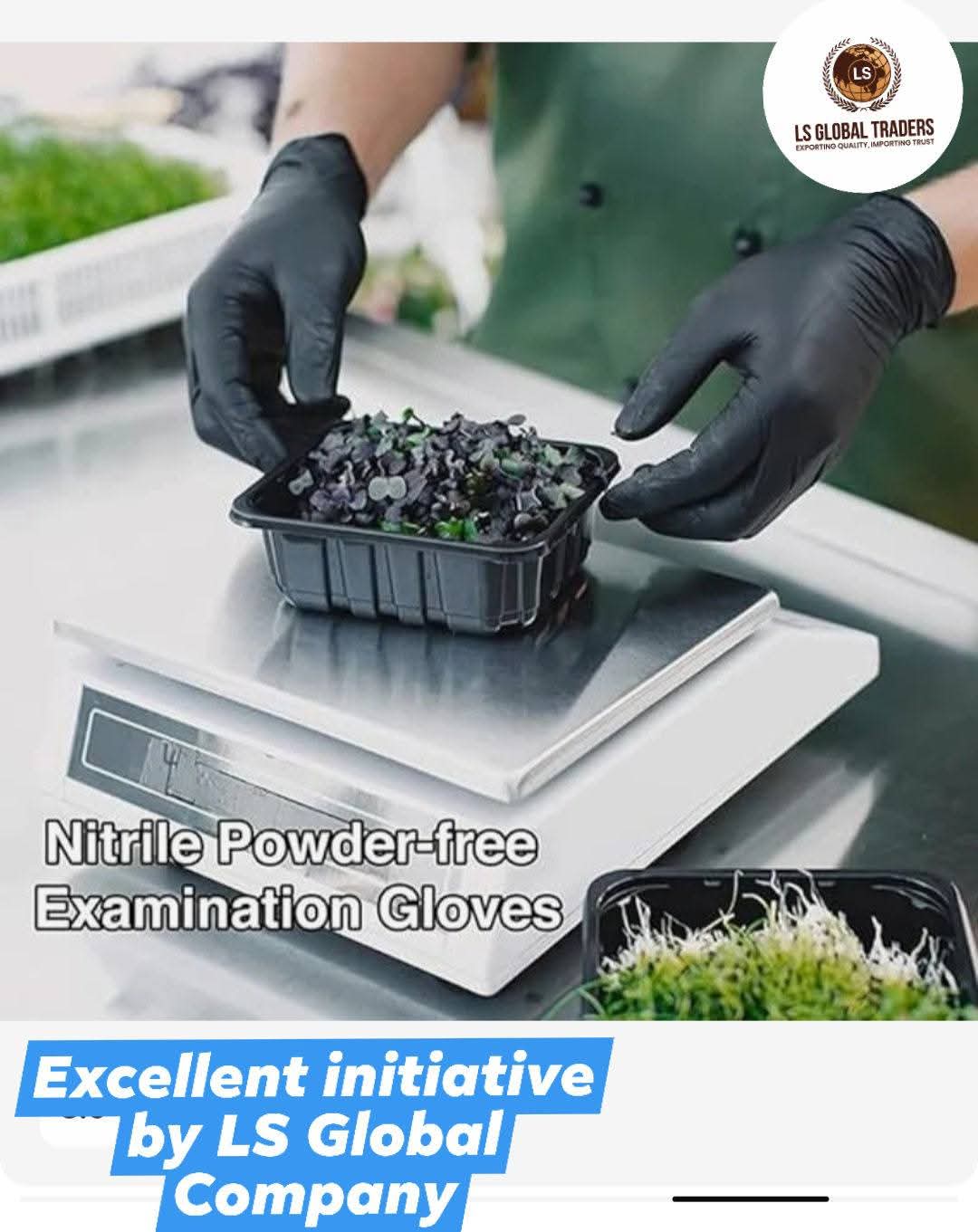 Disposable Nitrile Examination Gloves_16