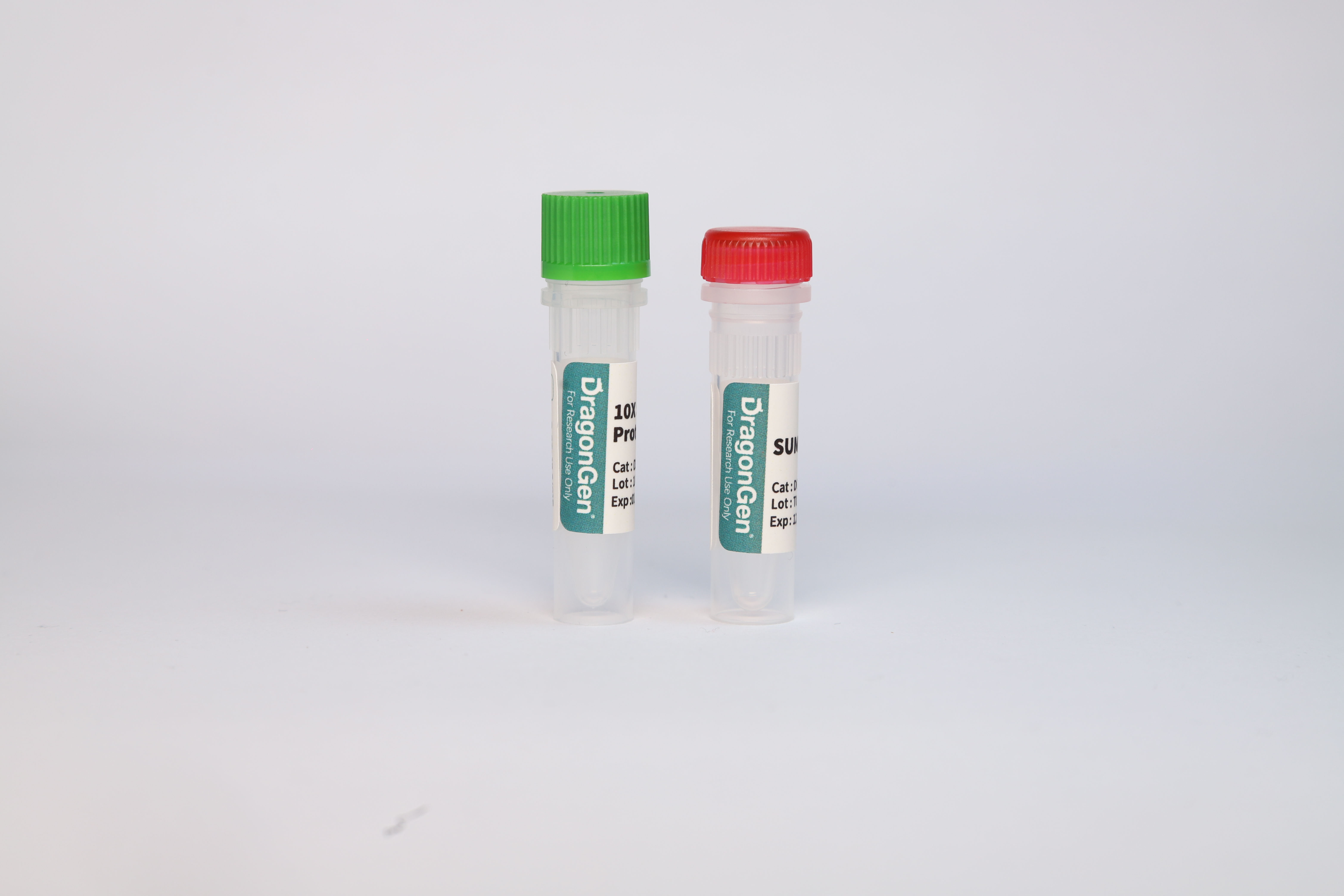 Sumo protease
