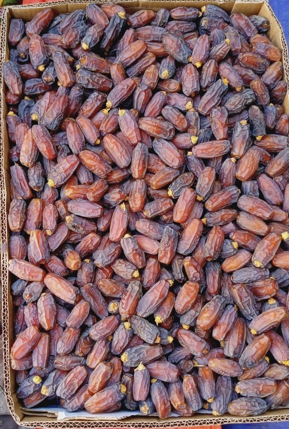 Premium Dates from Saudi Arabia for Cheap Prices_3