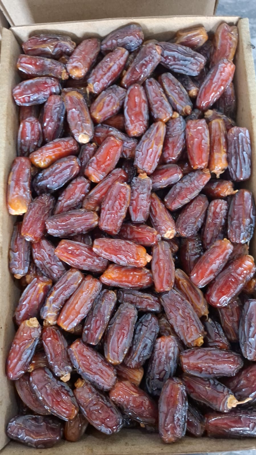 Premium Dates from Saudi Arabia for Cheap Prices_2