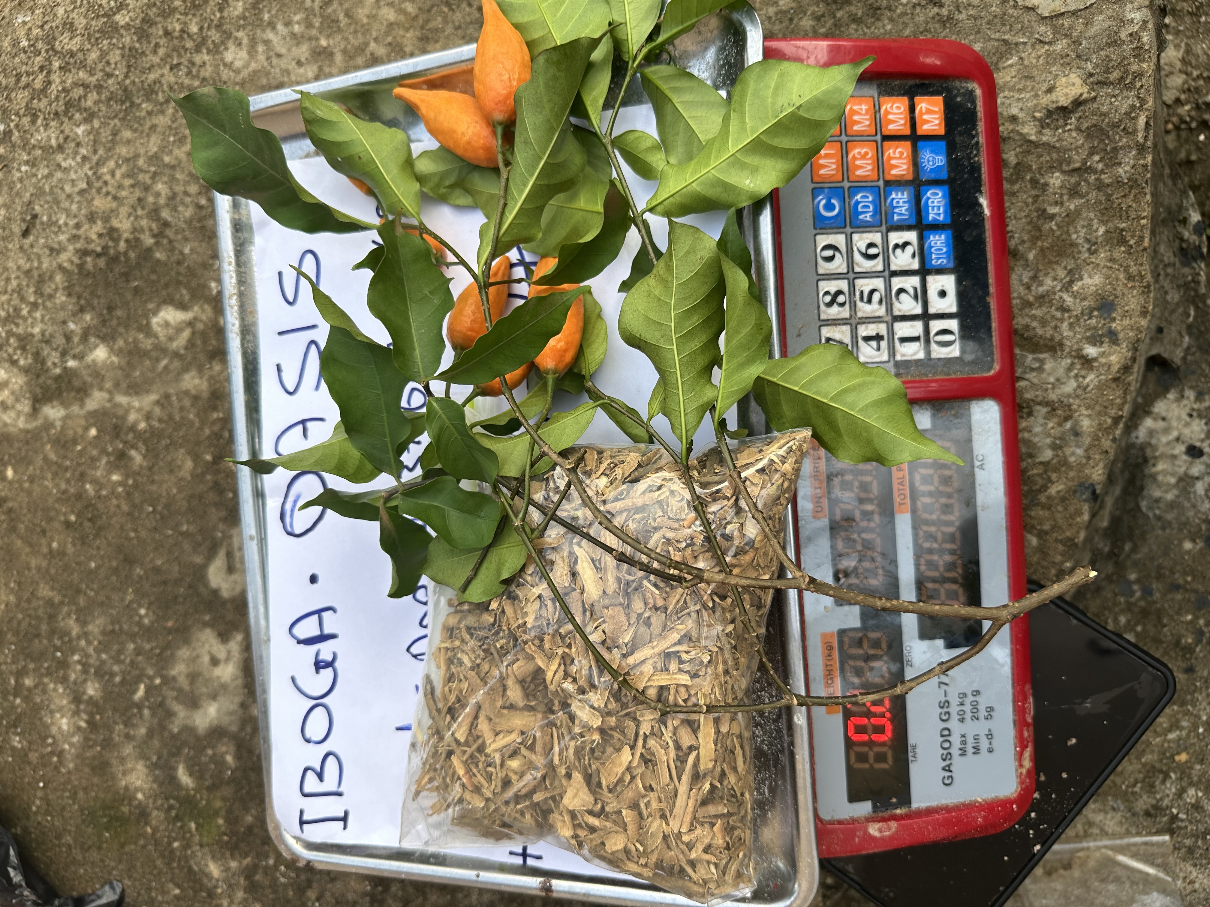 Top Quality Iboga Root Barks available_4