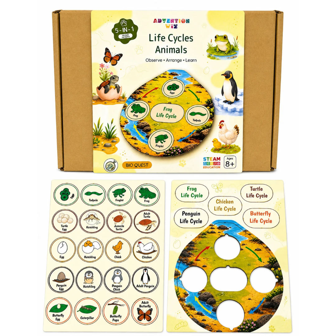 AdventionWiz 5-in-1 Animal Life Cycle STEM Educational Toy Kit for Kids_4