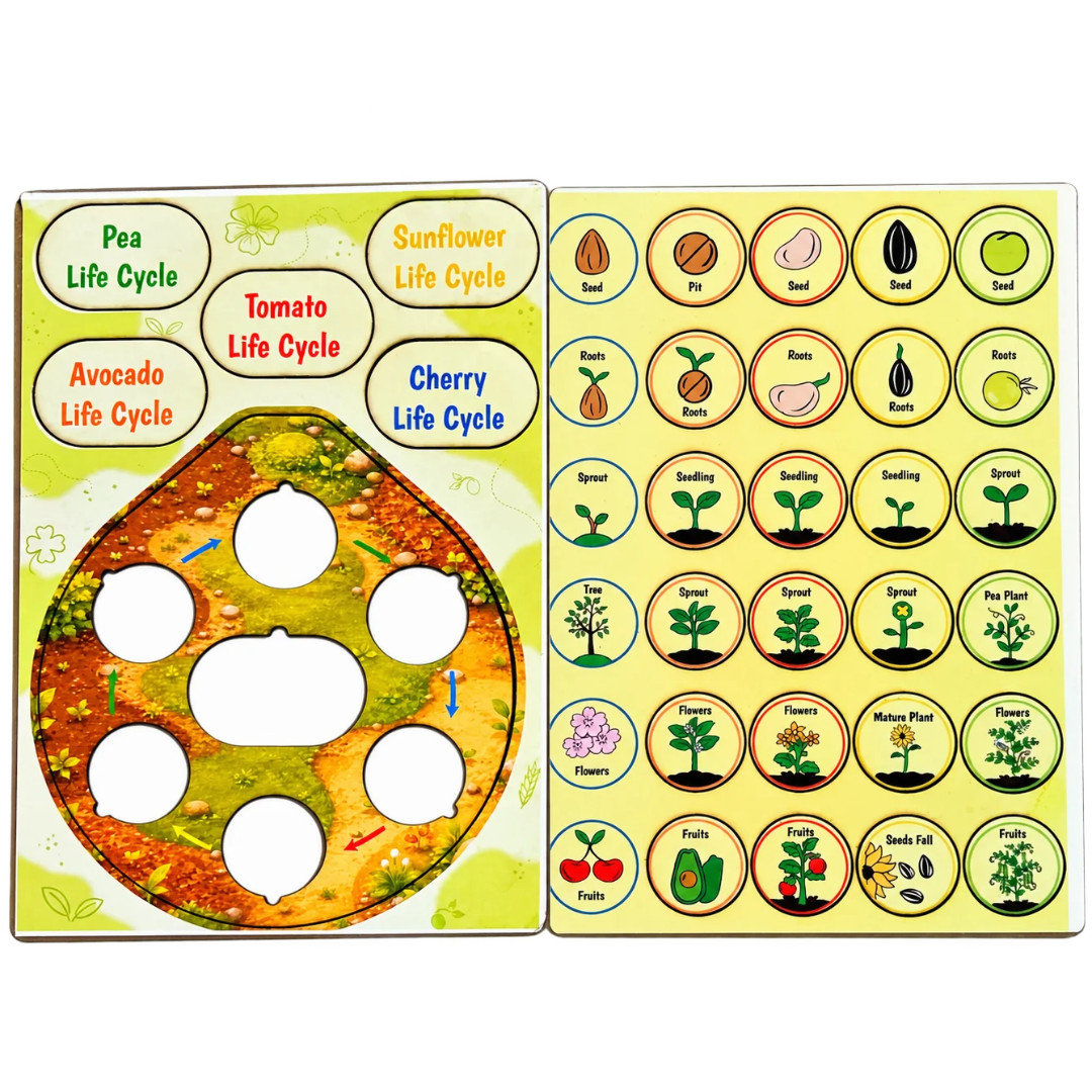 AdventionWiz Life Cycles Plants – 5-in-1 Educational STEAM Learning Kit for Kids, Plant Life Cycle Activity, Ages 8 _3