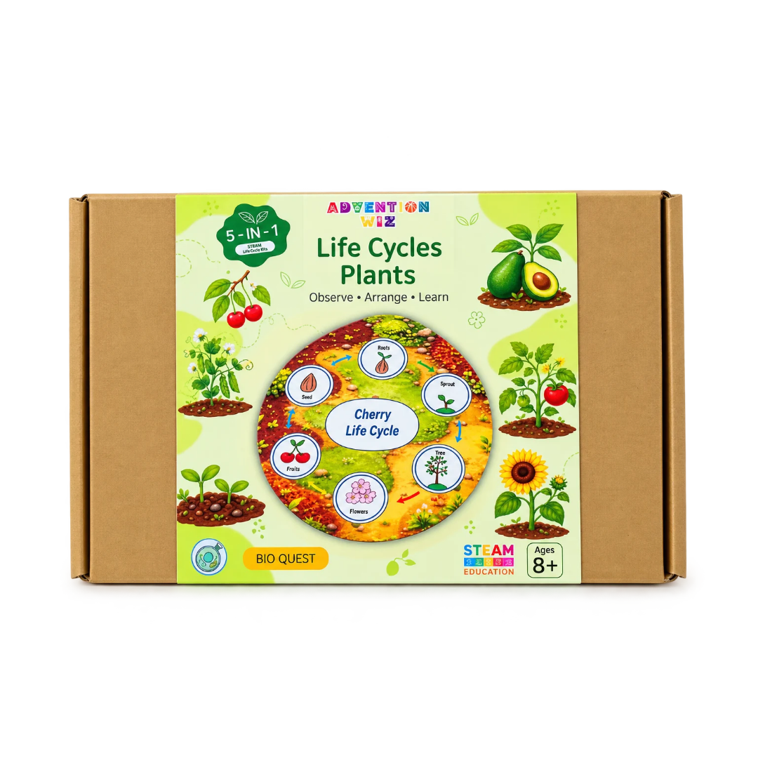 AdventionWiz Life Cycles Plants – 5-in-1 Educational STEAM Learning Kit for Kids, Plant Life Cycle Activity, Ages 8 _2