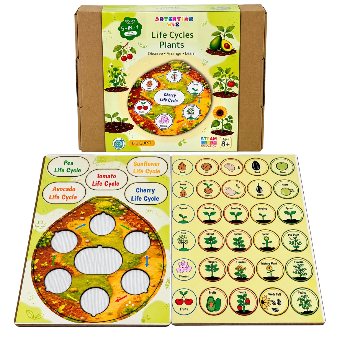 AdventionWiz Life Cycles Plants – 5-in-1 Educational STEAM Learning Kit for Kids, Plant Life Cycle Activity, Ages 8 _4