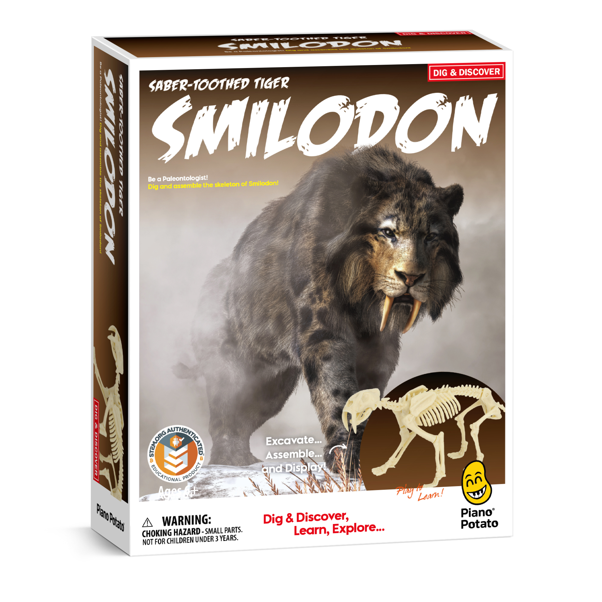 Piano Potato Smilodon Excavation and Build Kit_2