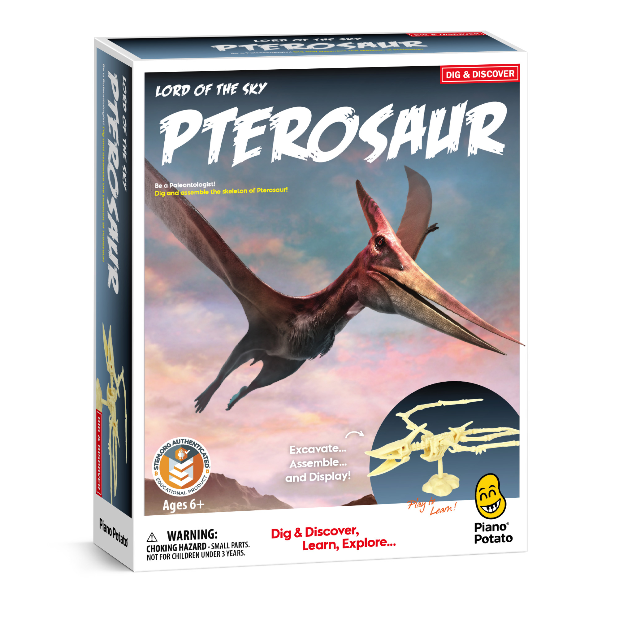 Piano Potato Pterosaur Excavation and Build Kit_2