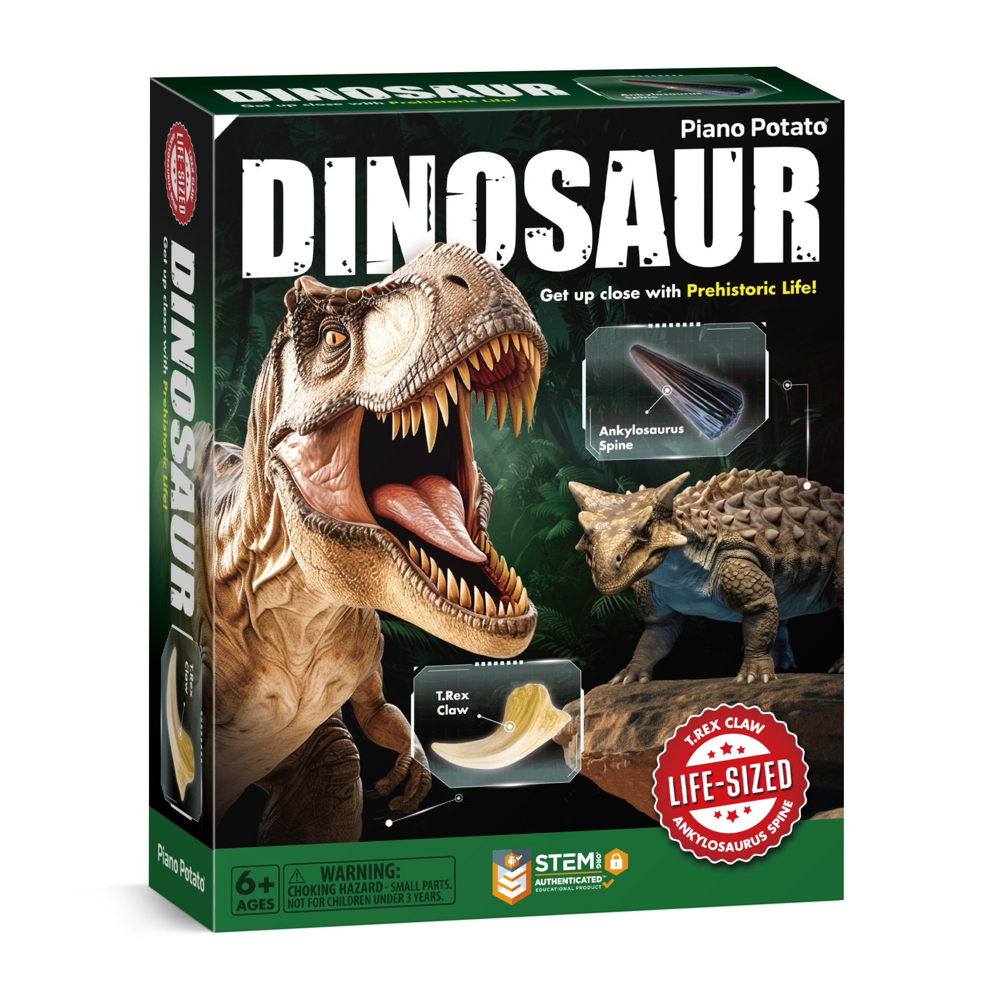 Piano Potato Dinosaur Claw and Spine Replica Dig Kit_2