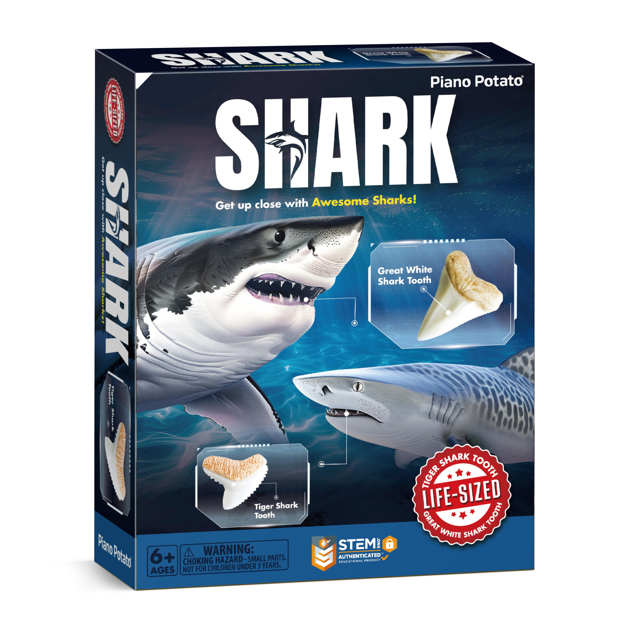 Piano Potato Shark Tooth Excavation and Display Kit_2