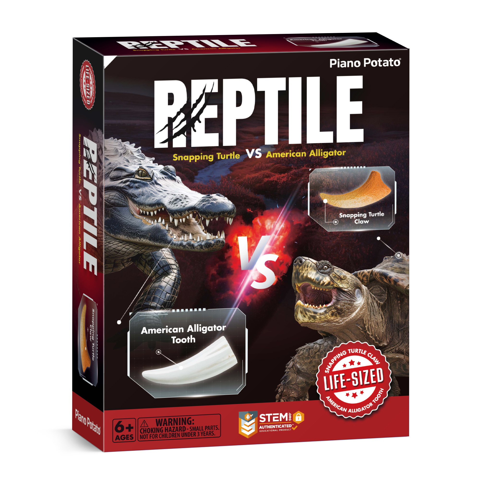 Piano Potato Reptile Dig Kit Snapping Turtle and Alligator_2