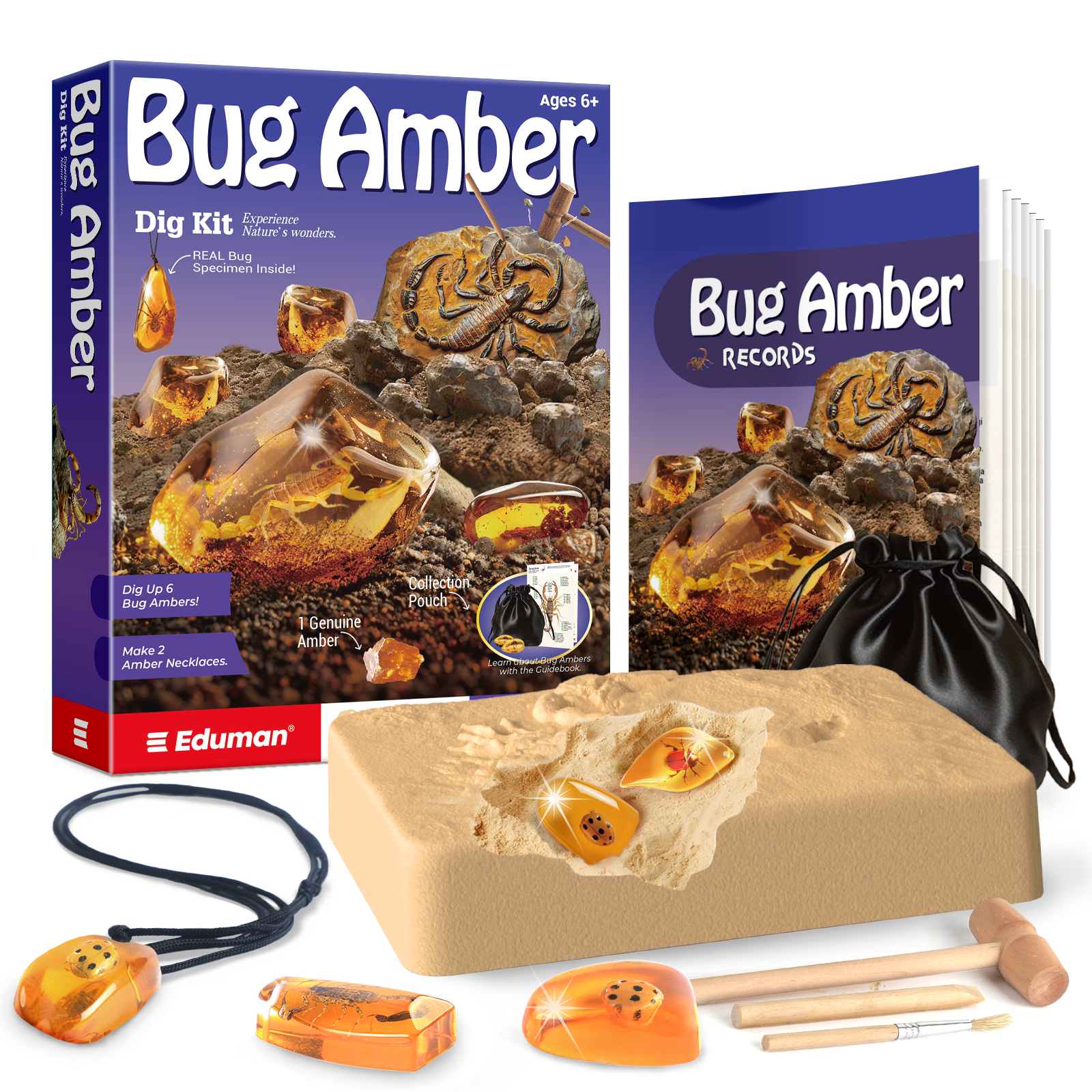 Eduman Bug Amber Dig Kit_2