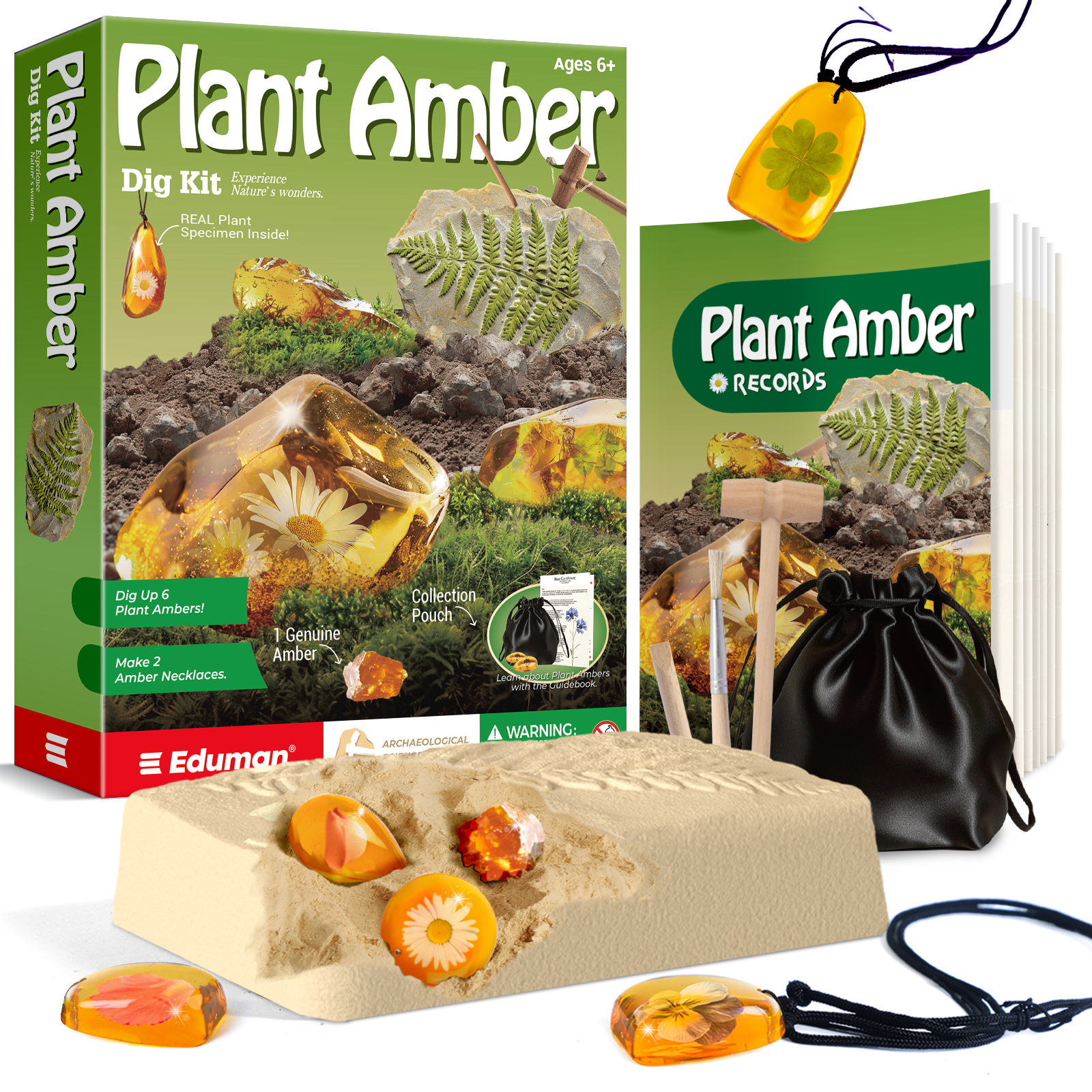 Eduman Plant Amber Dig Kit_2