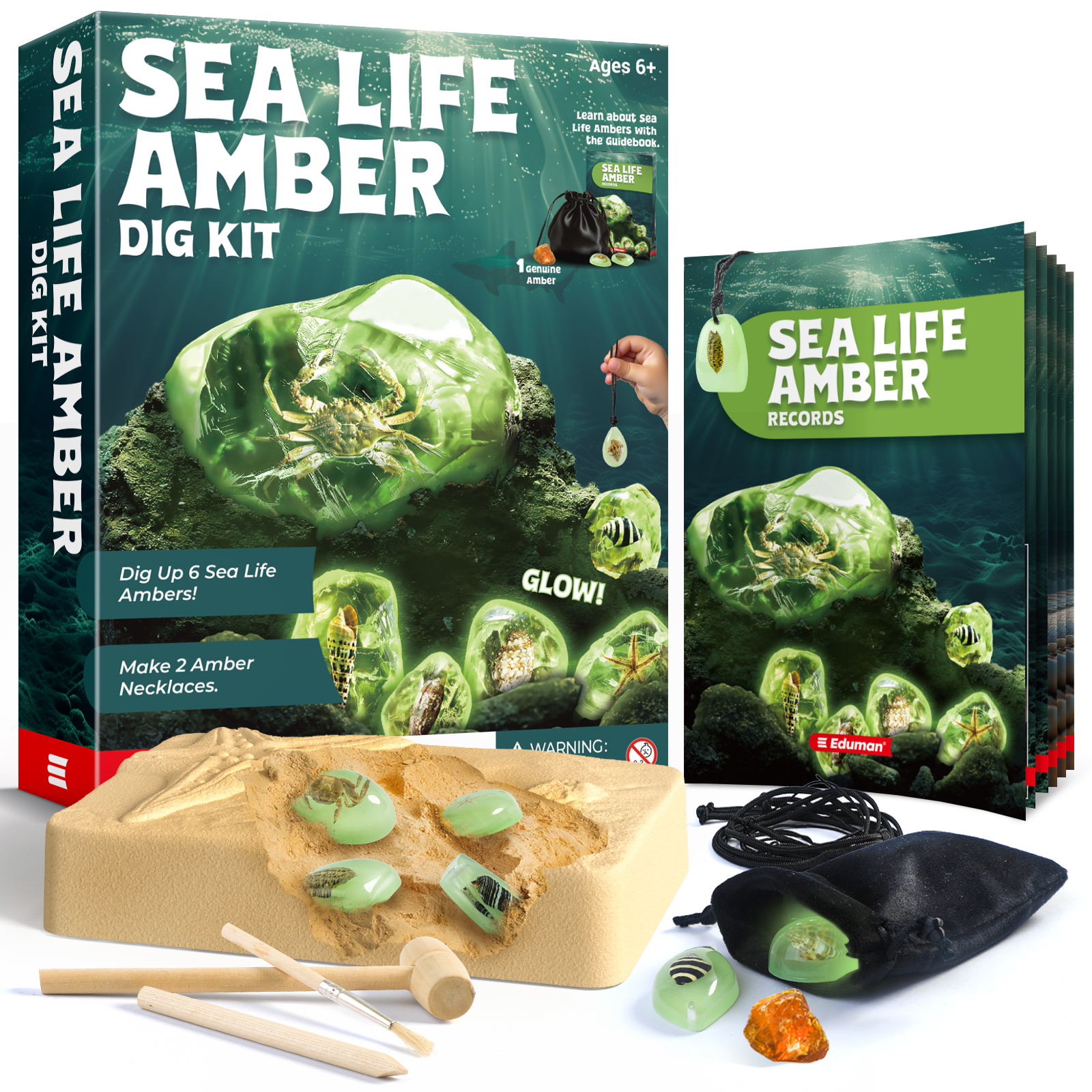 Eduman Glow Sea Life Amber Dig Kit_2
