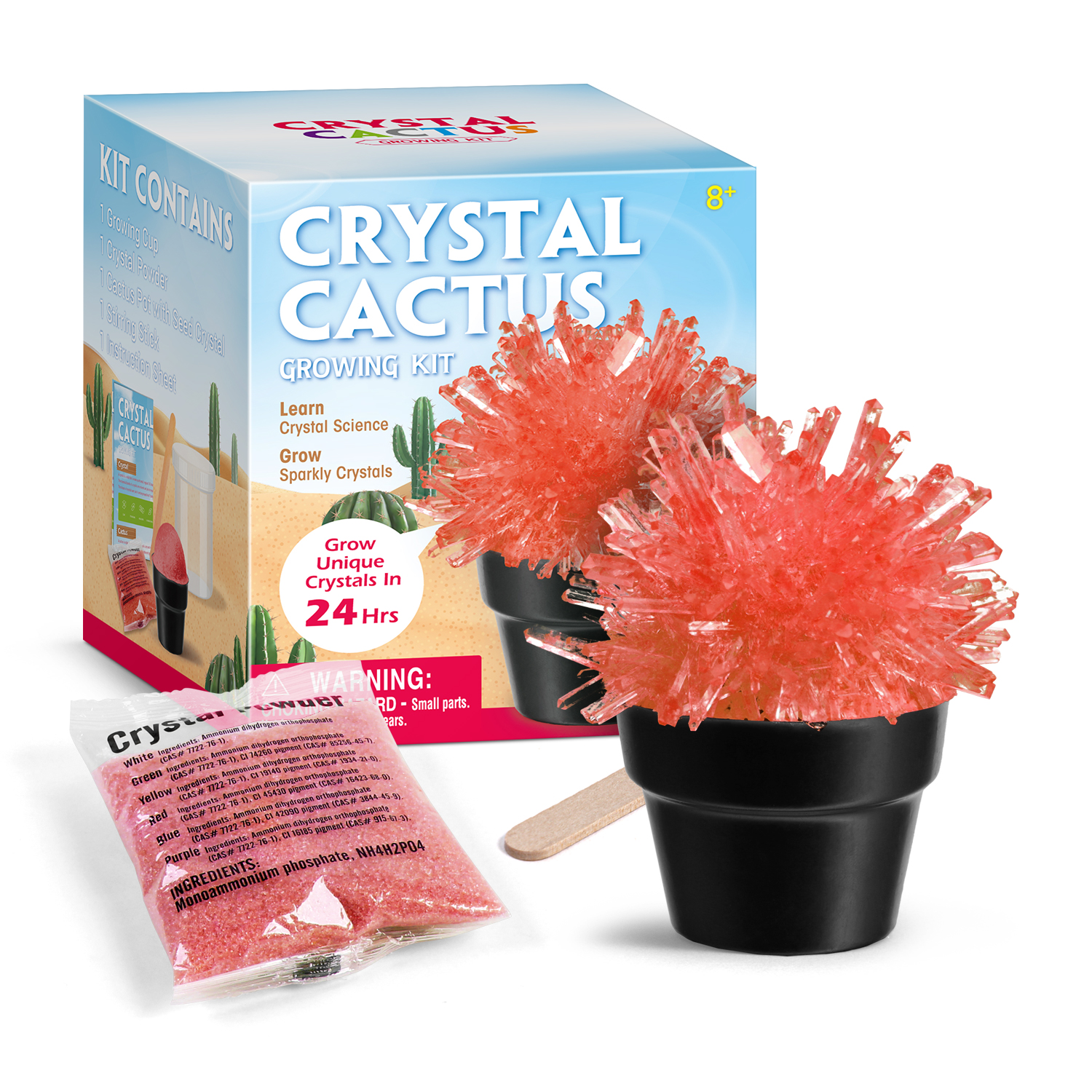 Piano Potato Red Crystal Cactus Growing Science Kit_2