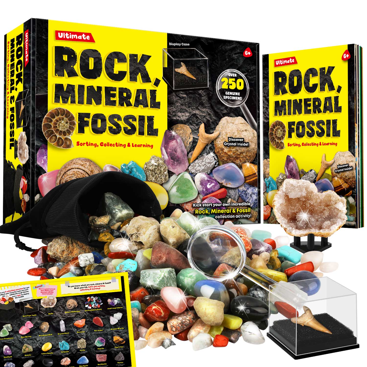 Piano Potato Rock Mineral and Fossil Collection 250 Plus Specimens_2