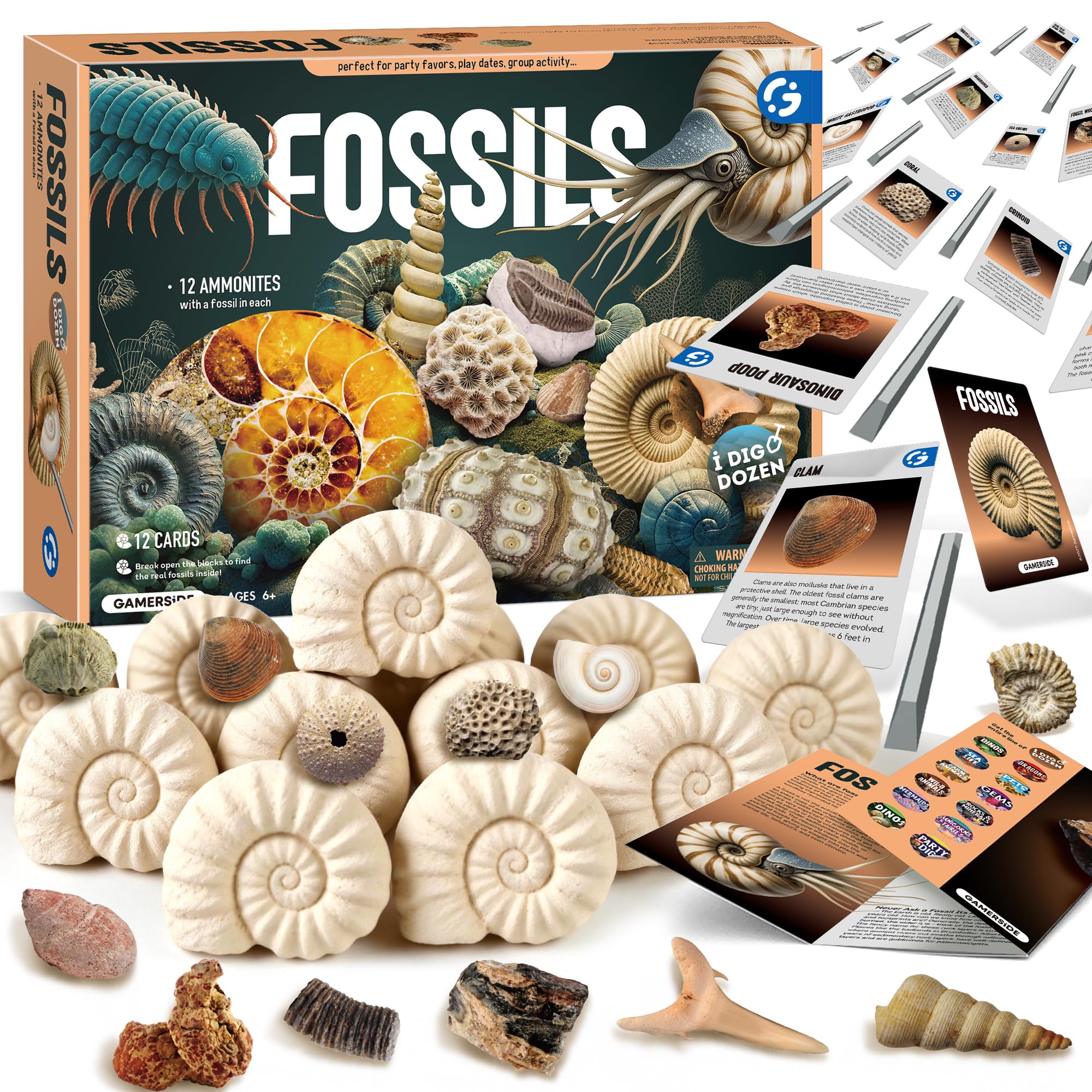 Gamerside Fossil Dig Kit 12 Fossil Discoveries_2