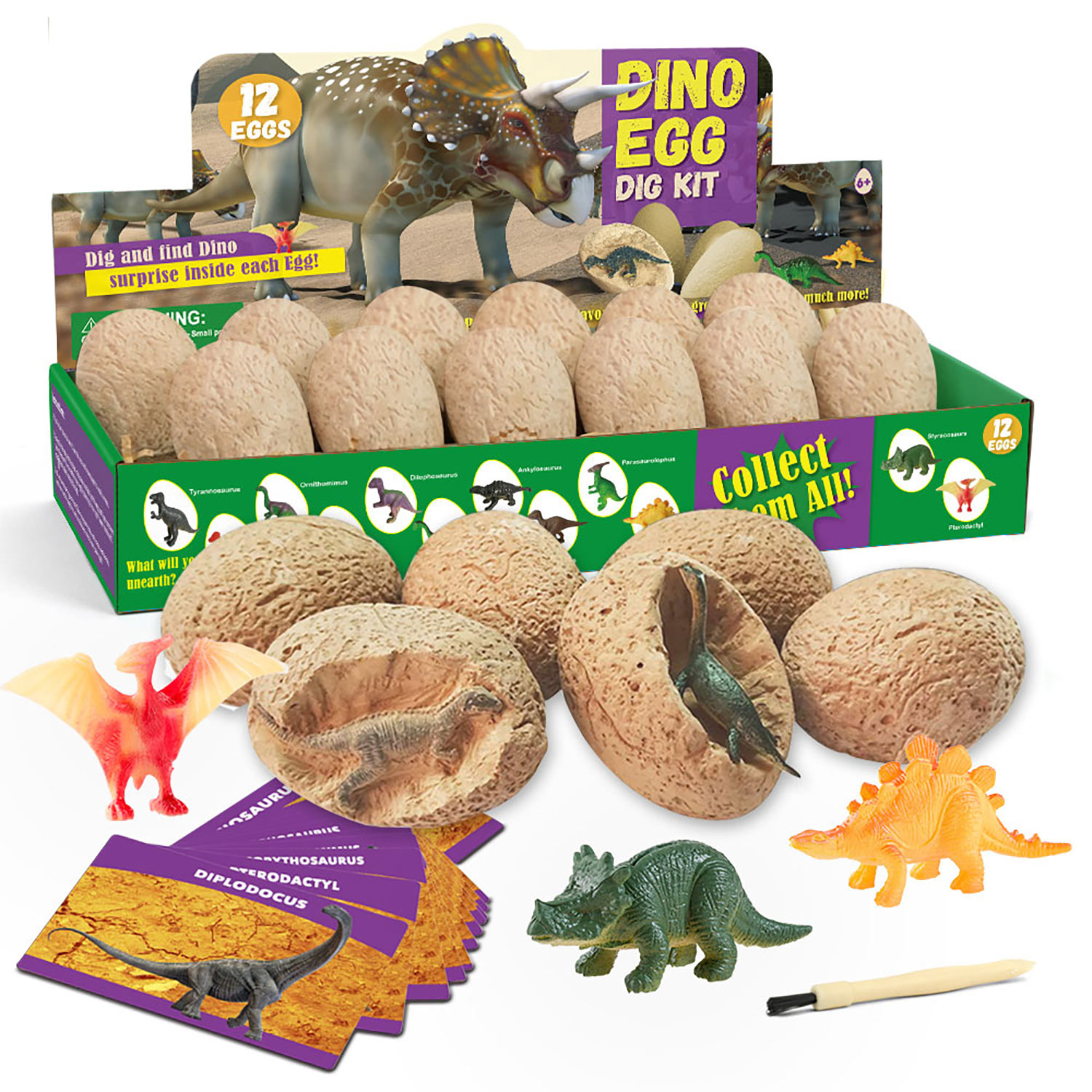 Eduman Dinosaur Egg Dig Kit 12 Dinosaurs_2