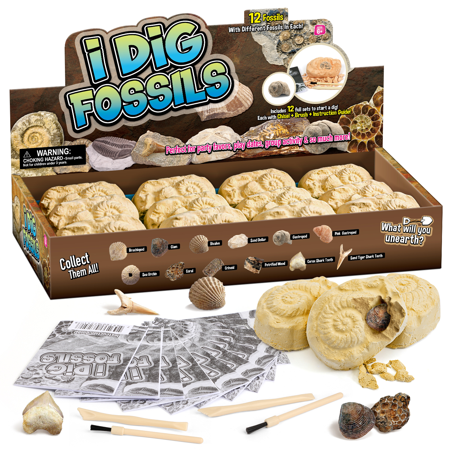 Eduman Fossil Dig Counter Display 12 Blocks_2
