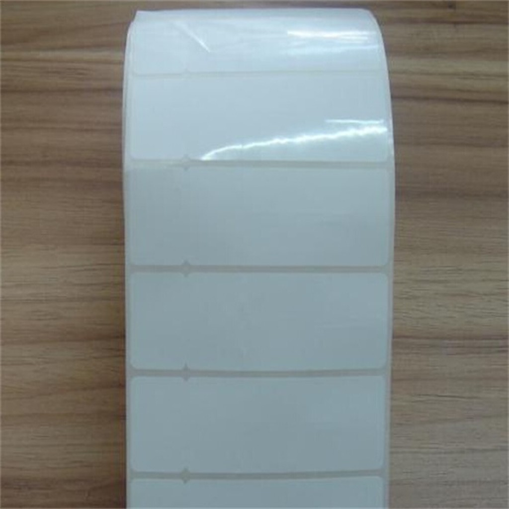 0027 Plastic Film Rolls for Flexible Packaging and Converting_2