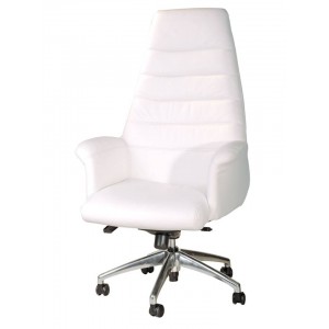 Executive hb chair - coral hb