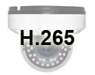 H.265 IP CAM