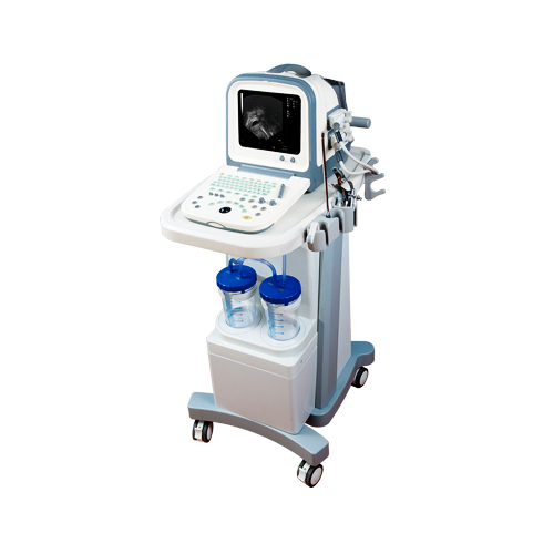 GYN Visible Ultrasonic Diagnostic System