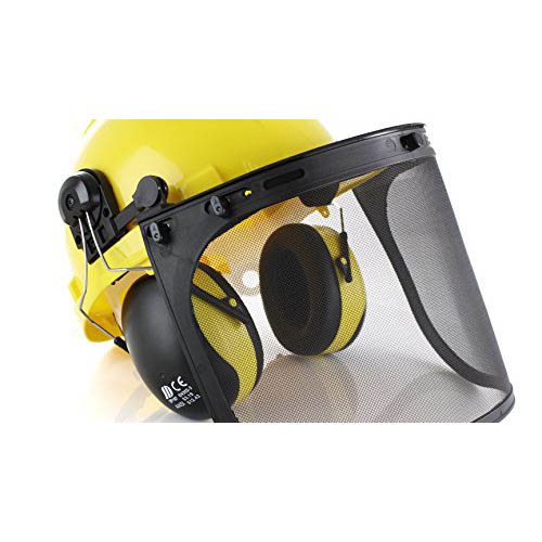 Head mounted face screens-forestry visor