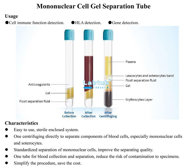 Mononuclear cell tube
