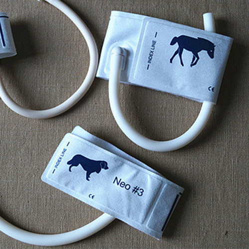 Animal use - disposable animal nibp cuffs