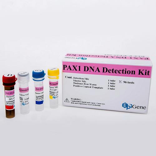 PAX1 DNA Detection Kit