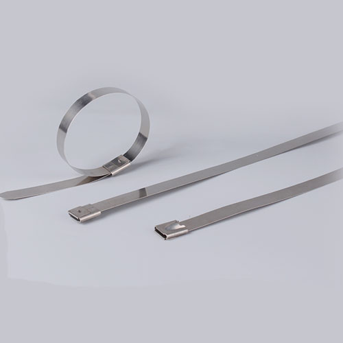 Stainless steel cable ties-ring type