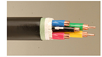 Optical fiber composite low-voltage cable