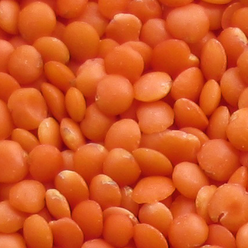 Red lentils (football)