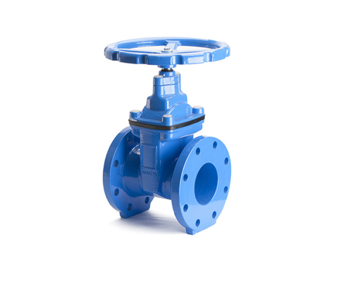Din f4 resilient seated nrs gate valve-flange end (model no. z45x-01)